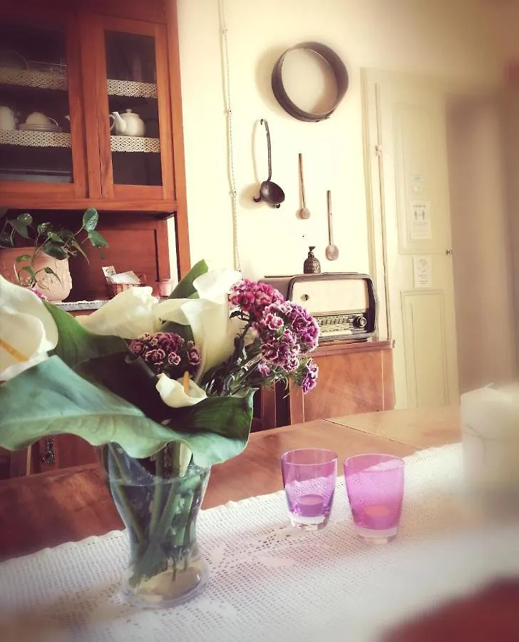 Bed And Breakfast Evelina 卢卡